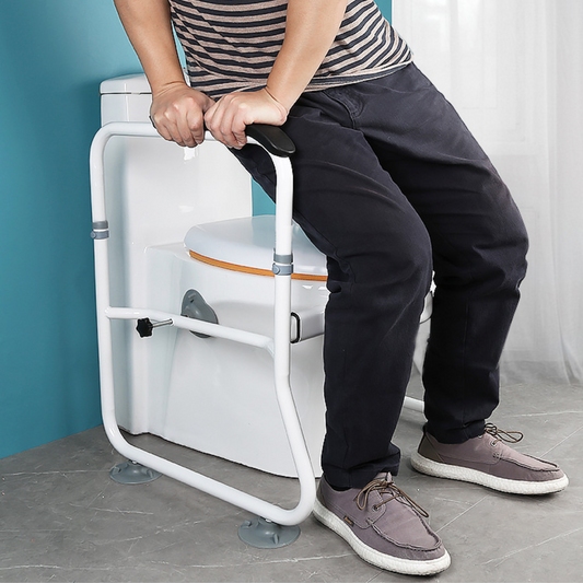 Closed Loop Safety Toilet Frame - Aging Goods